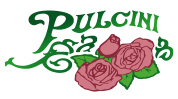 Pulcini